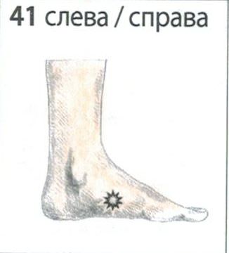 p41