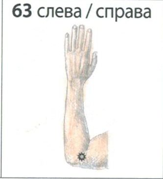 P63