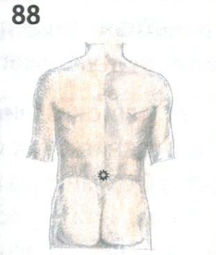 P88